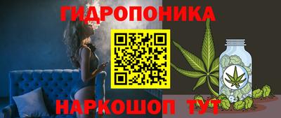 ешки Краснодар