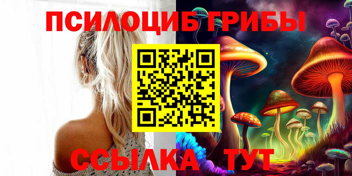Карпинск  Псилоцибиновые грибы Psilocybine cubensis  Вход с VPN 