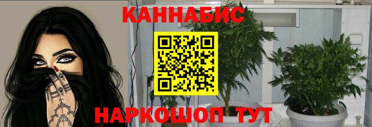 Шишки марихуана Bruce Banner Карпинск